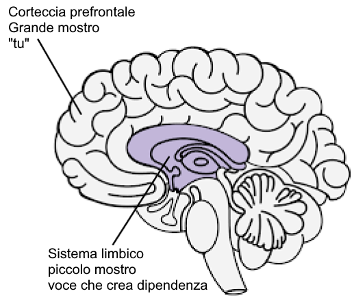 Il modello dei “due cervelli” della dipendenza