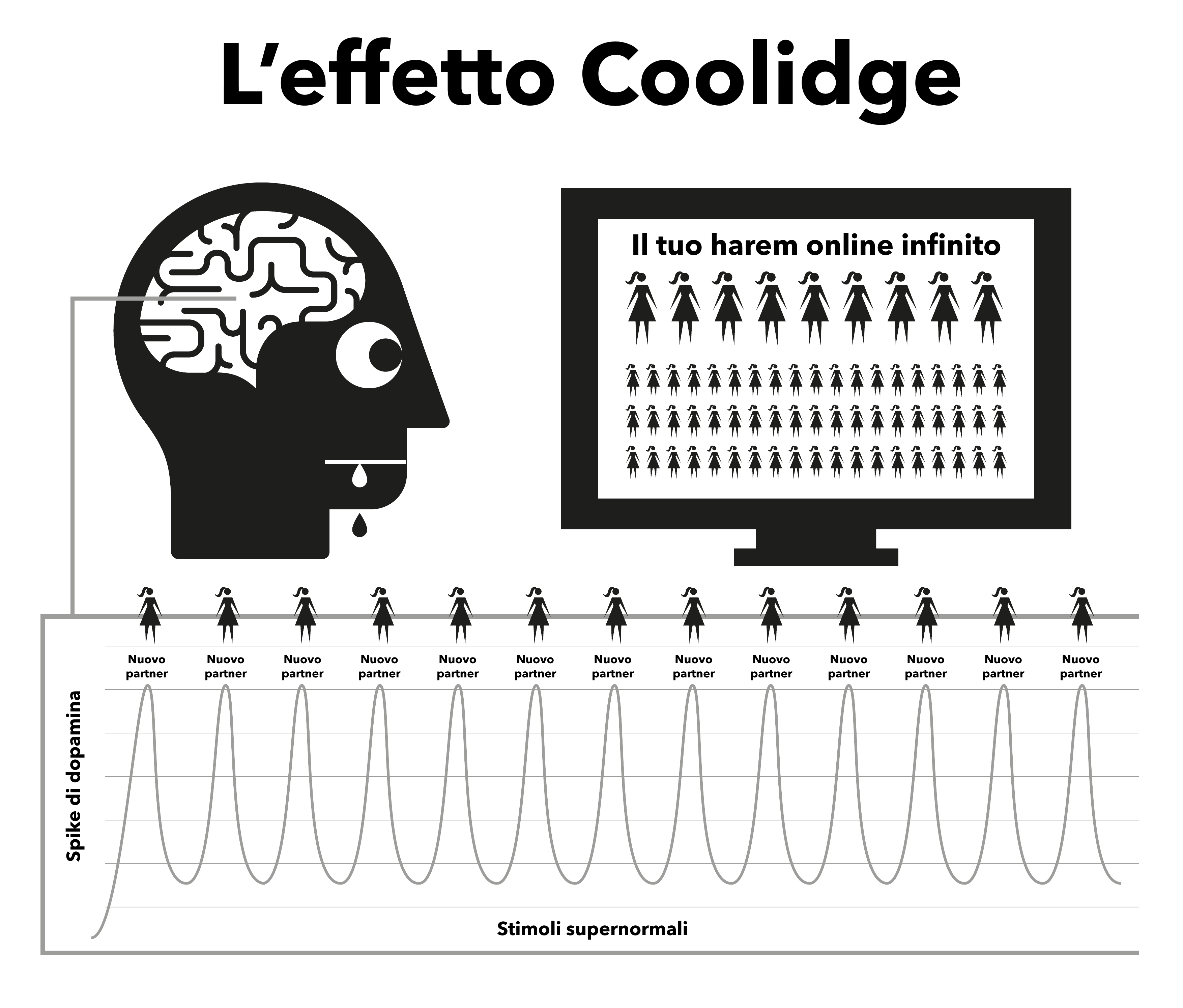 L’effetto Coolidge