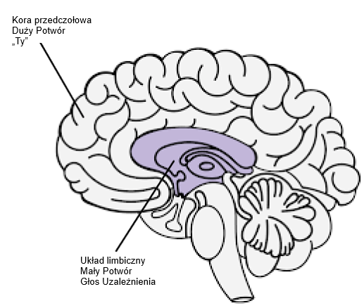 Model ‘dwóch mózgów’ uzależnienia.