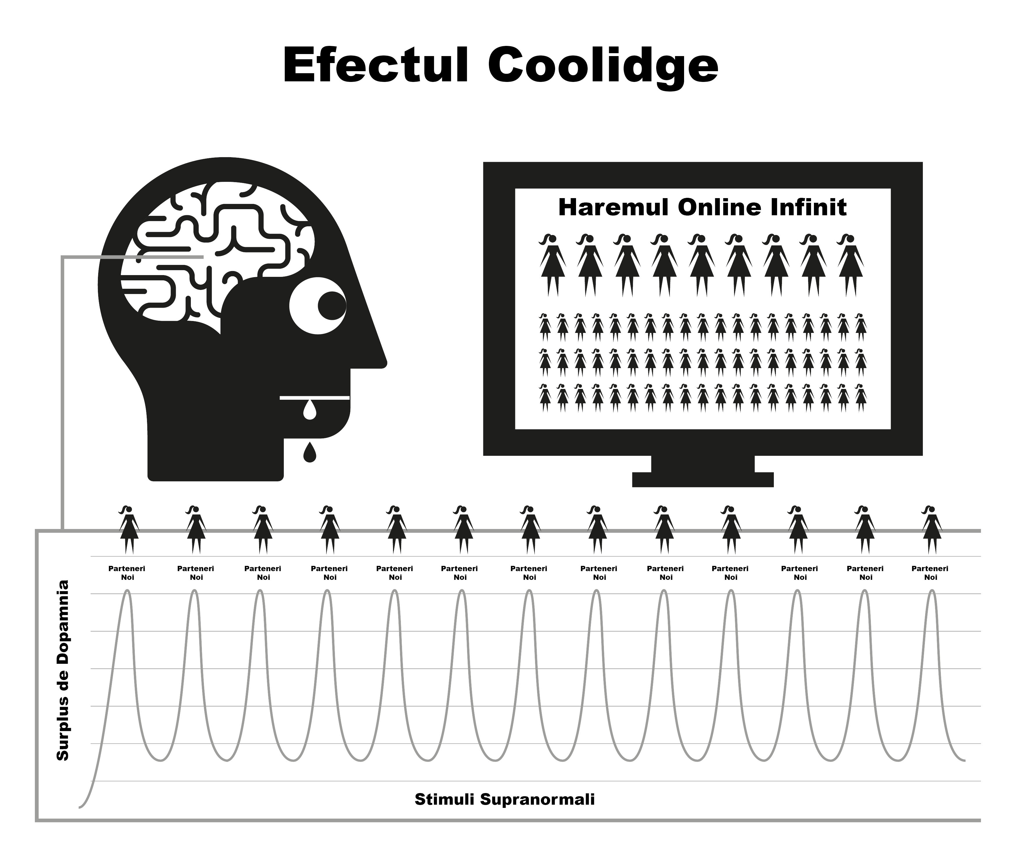 The Coolidge Effect graphic