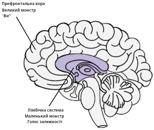Модель залежності “Два мізки”.